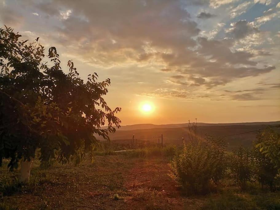 Dimitra'S Sunny Villa Mirsinochori Екстериор снимка